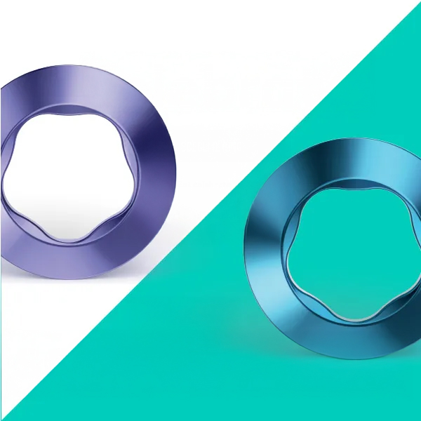 Celebrate Ring Set VS Ring Set Sophisticated IQOS ILUMA Ring