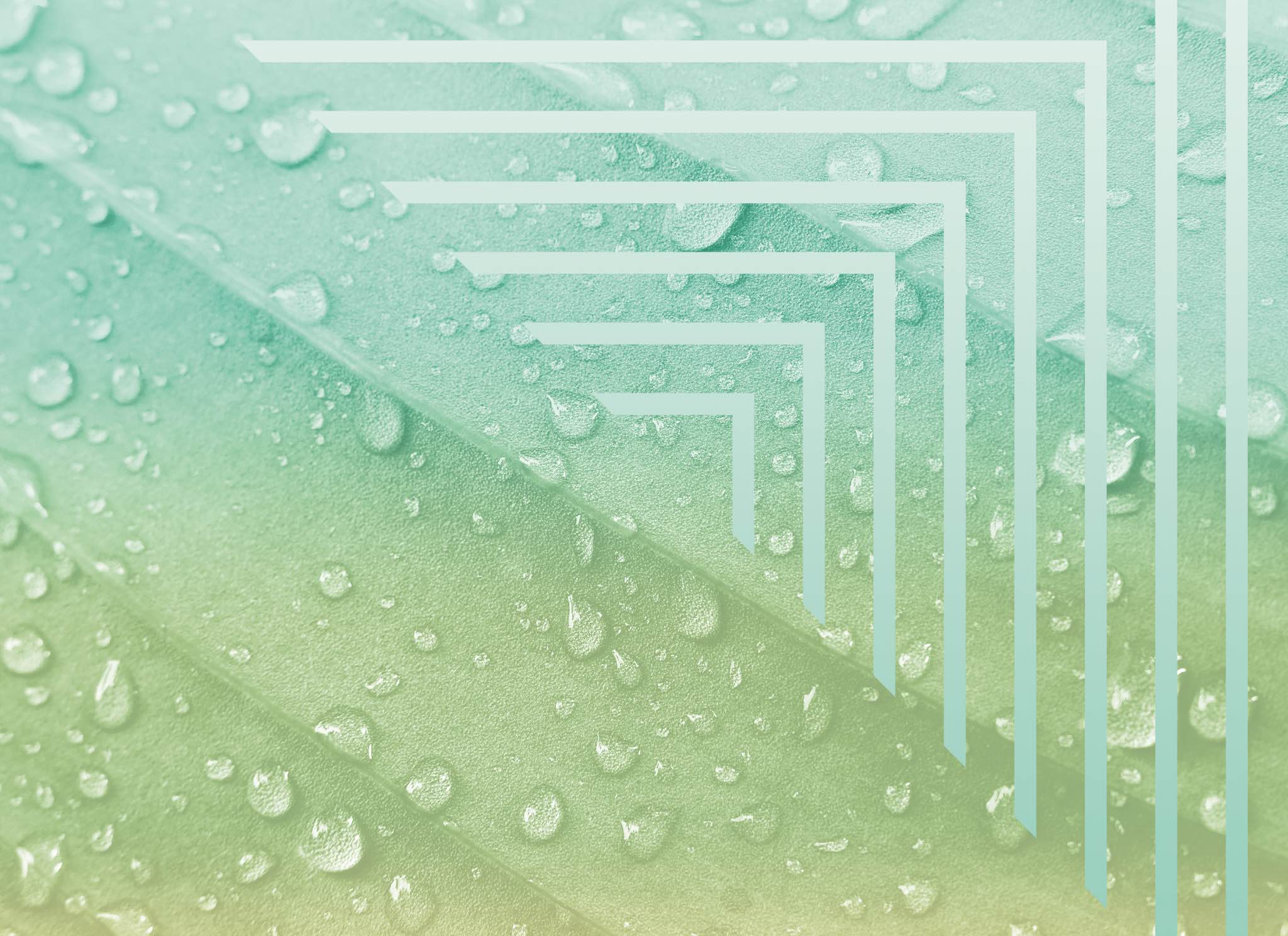 Mint Mix