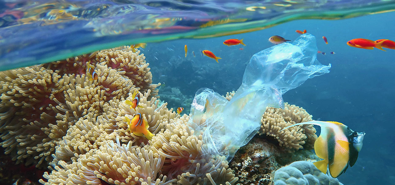 tutela ambiente plastica in mare