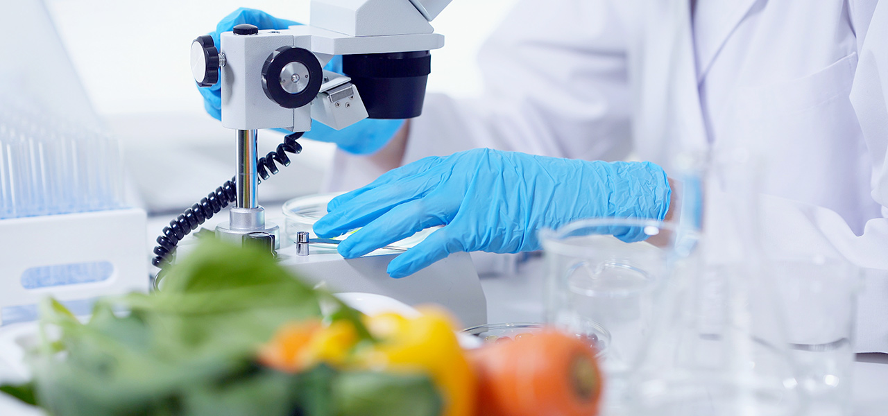 agritech foodtech