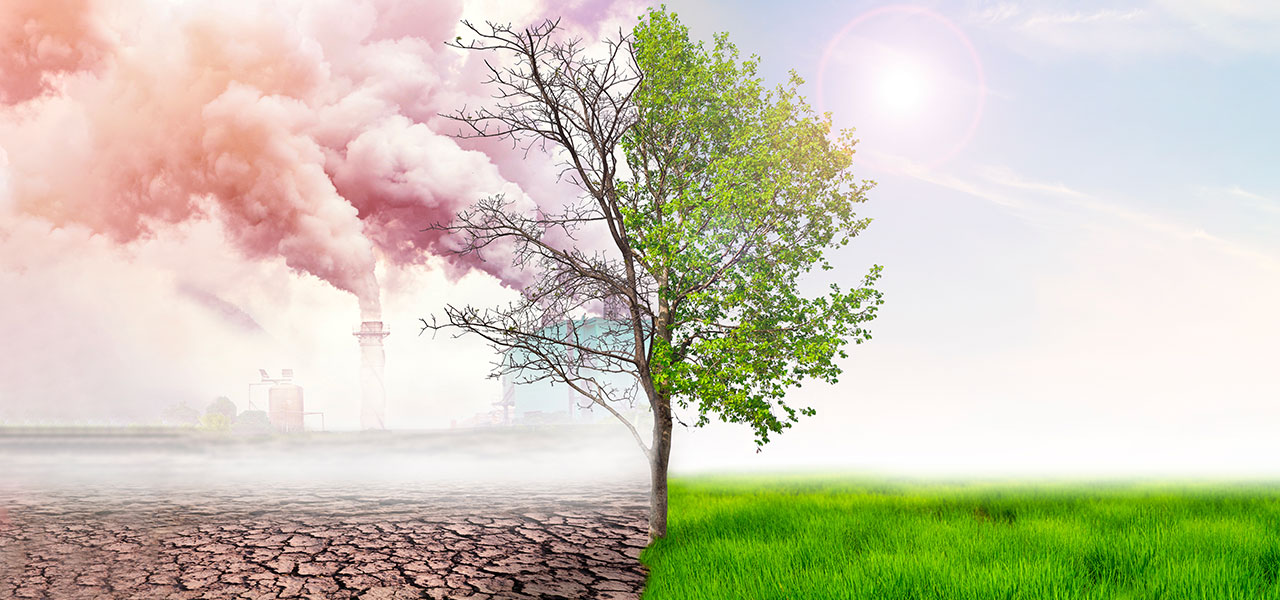 ecologia umana