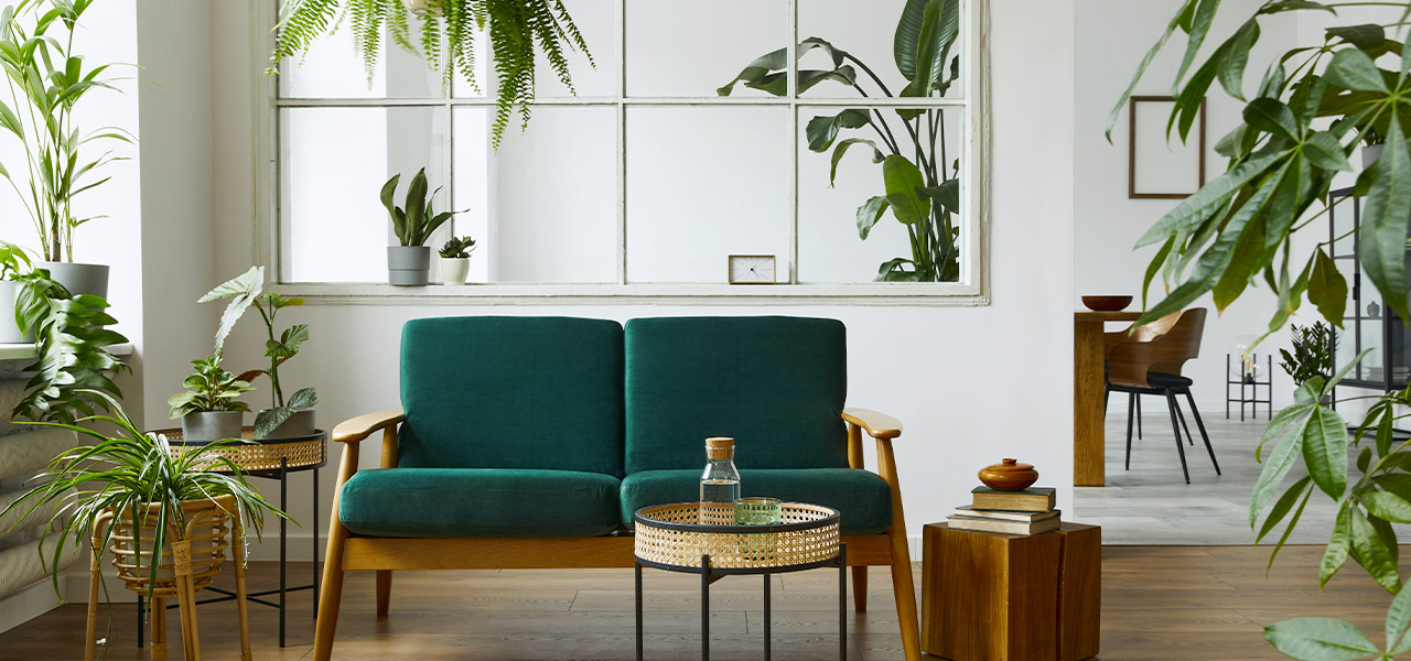 verde urbano