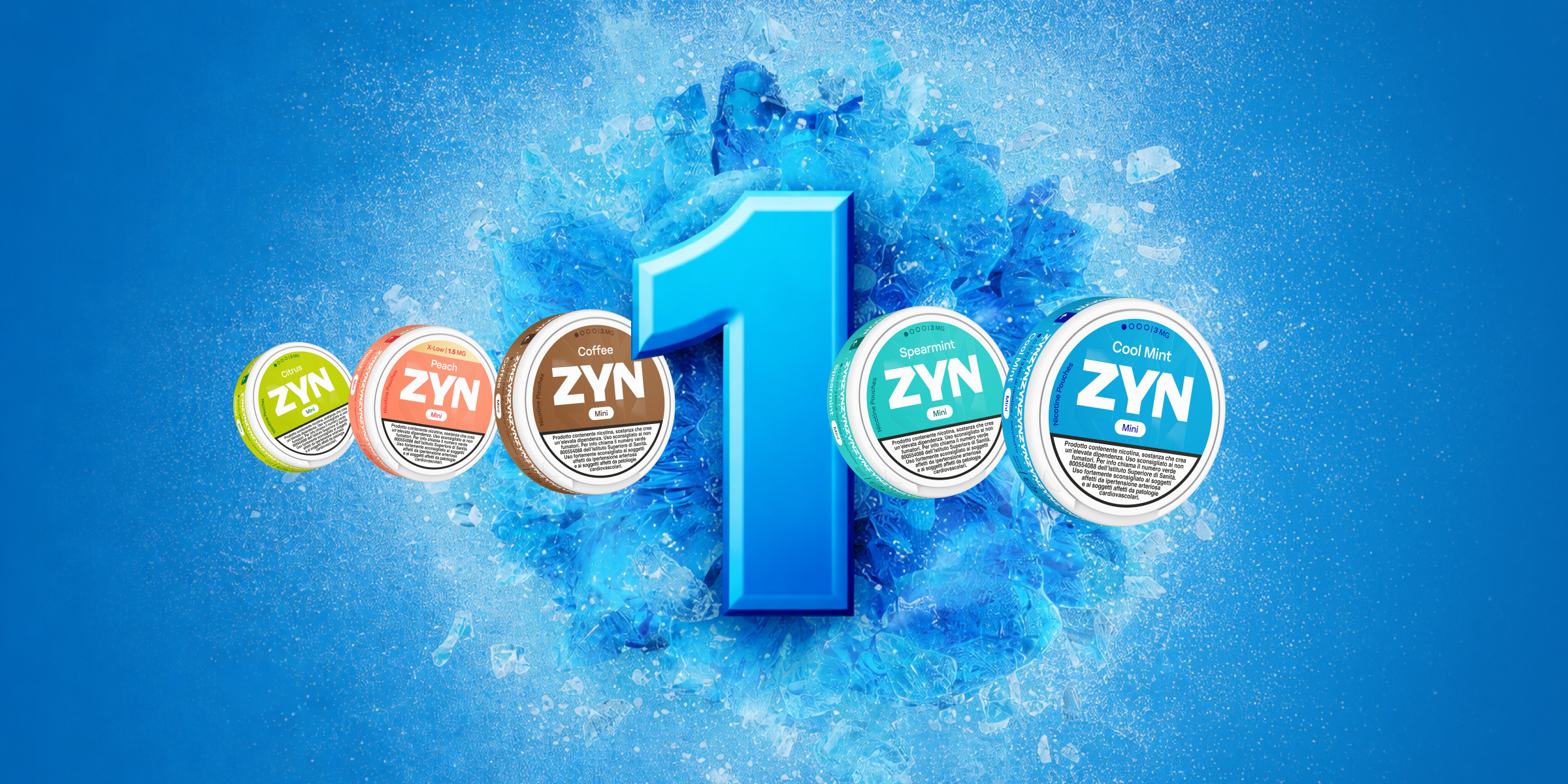 1 anno zyn in italia