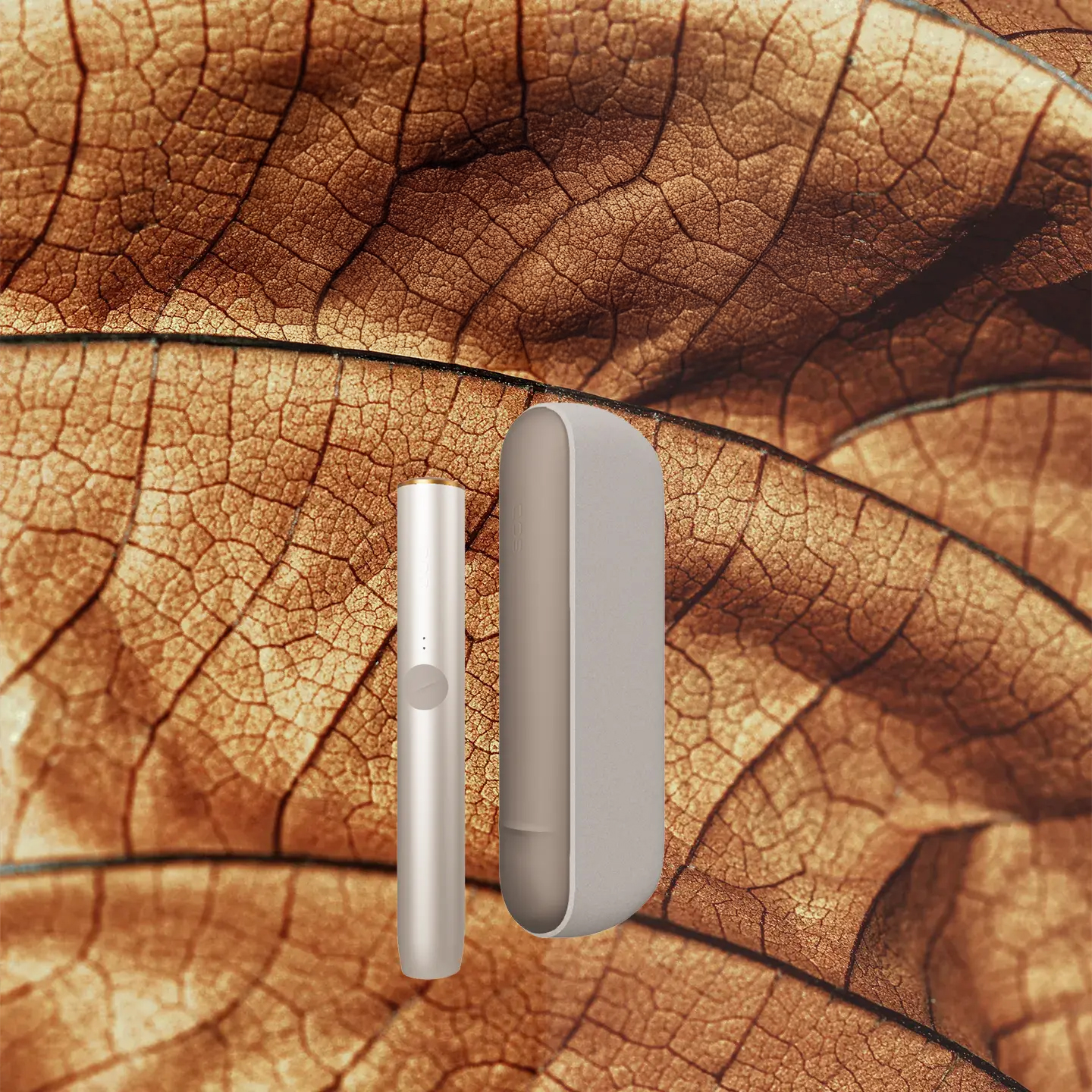 Foliage Brown