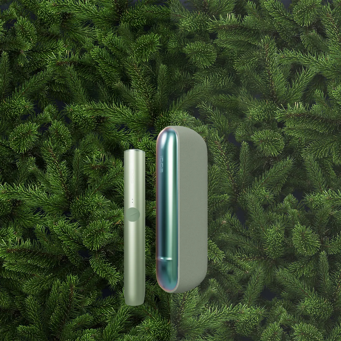 Green Pine
