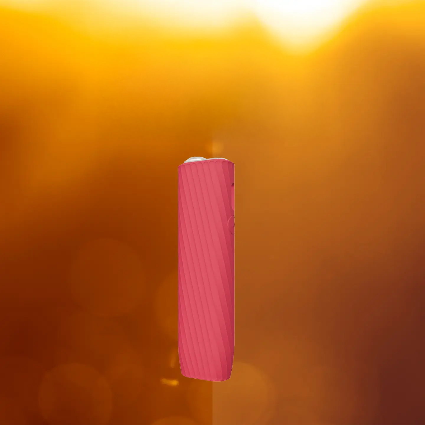 Sunny Sunset