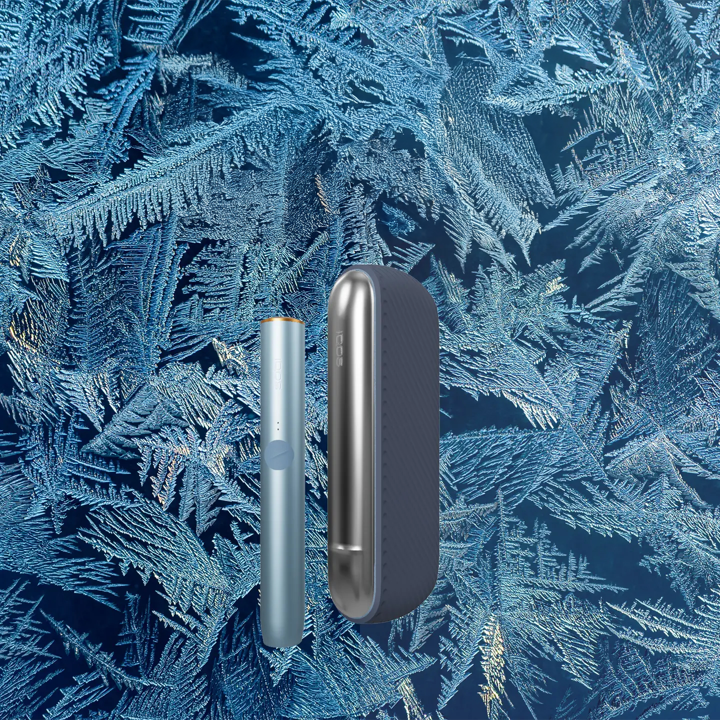 Winter Frost