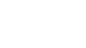 ZYN