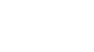 ZYN