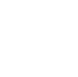 ZYN