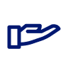 ZYN