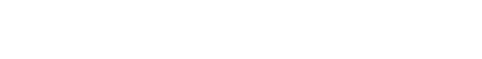 ZYN ZYN
