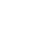 ZYN