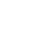 ZYN