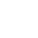 ZYN