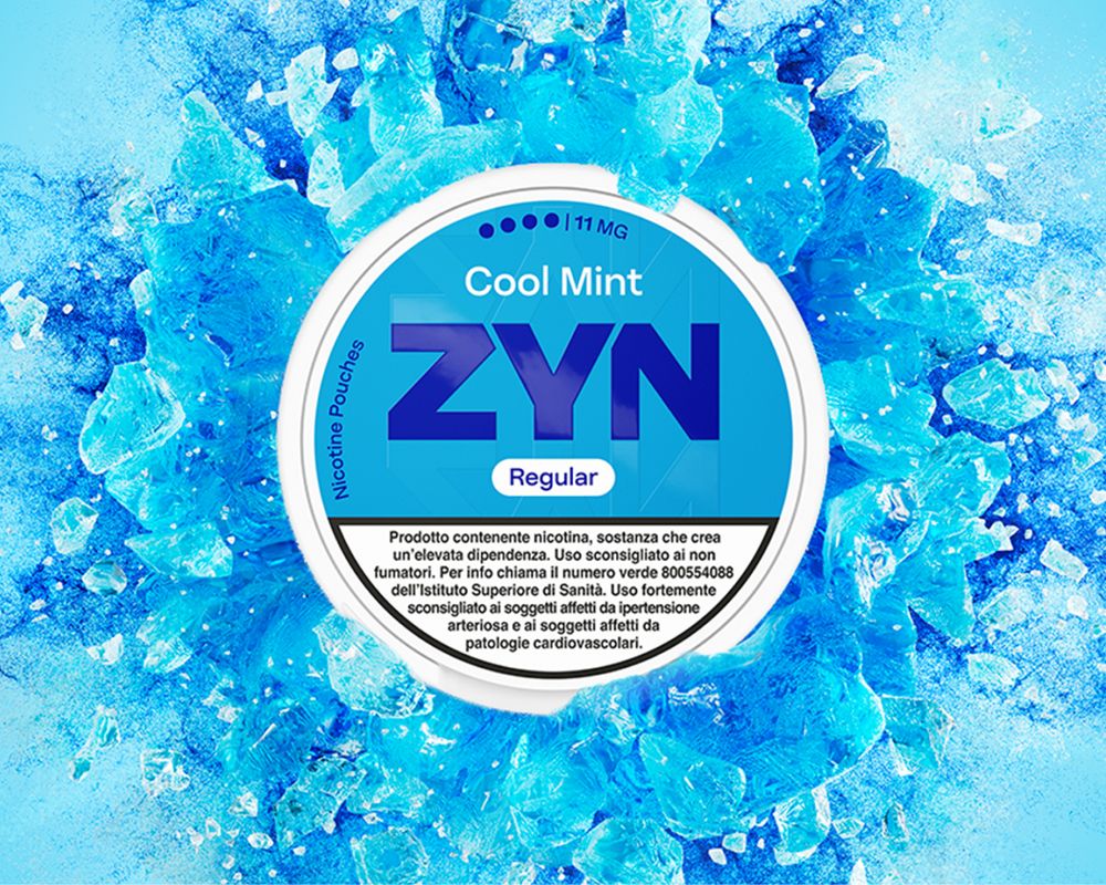Pacco ZYN Mint