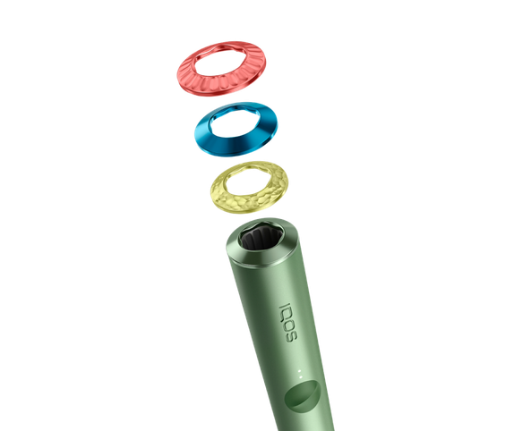Rings main